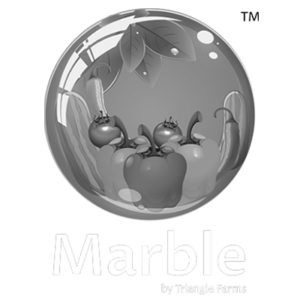 Marble Client of Best Digital Marketing Agency in UK