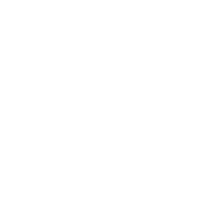 Raisoni University Client of Best Digital Marketing Agency in UK