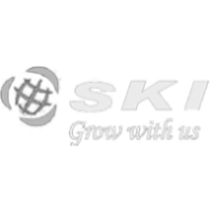 SKI Finance Client of Best Digital Marketing Agency in UK